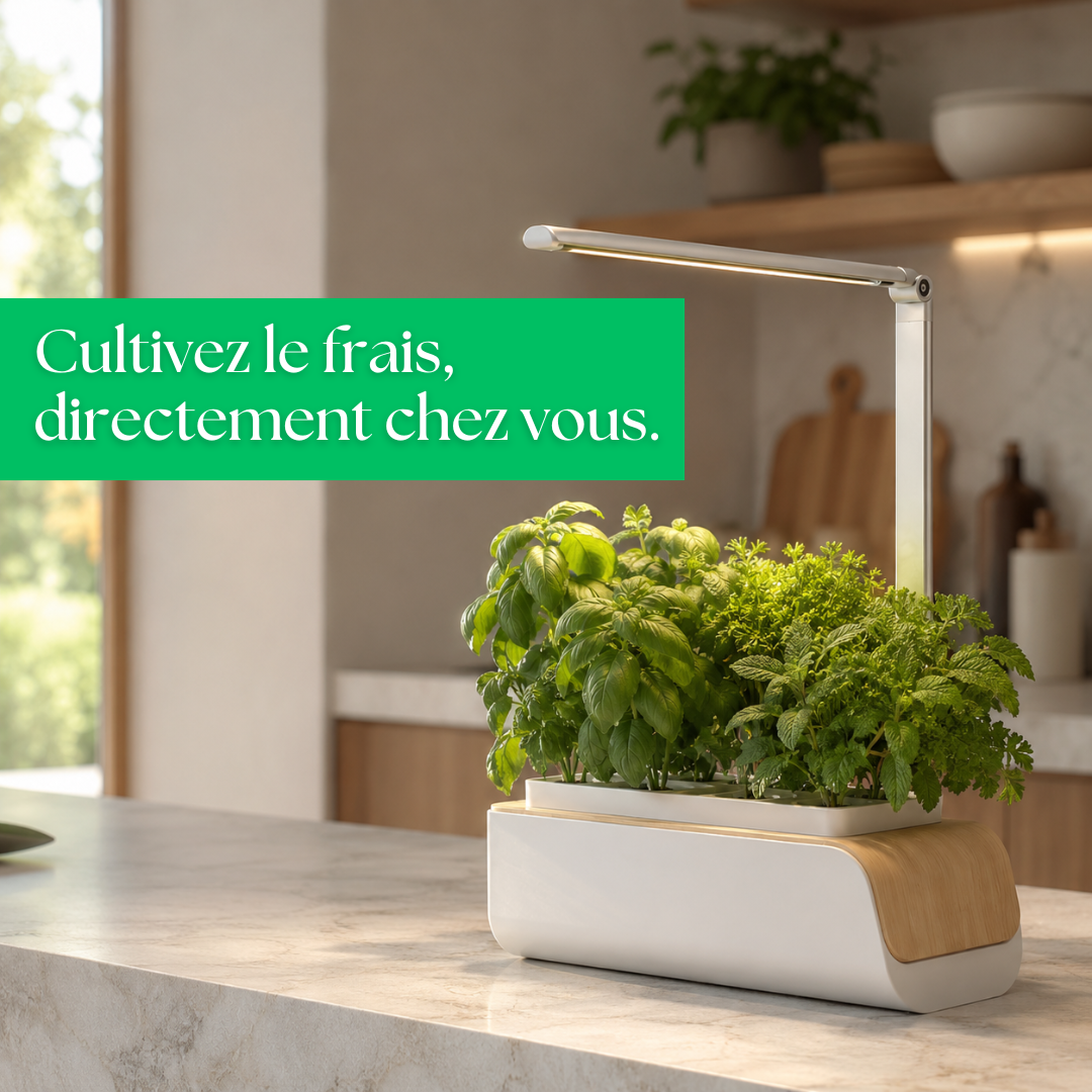 Le Potager LED d'intérieur qui redonne vie à votre cuisine.