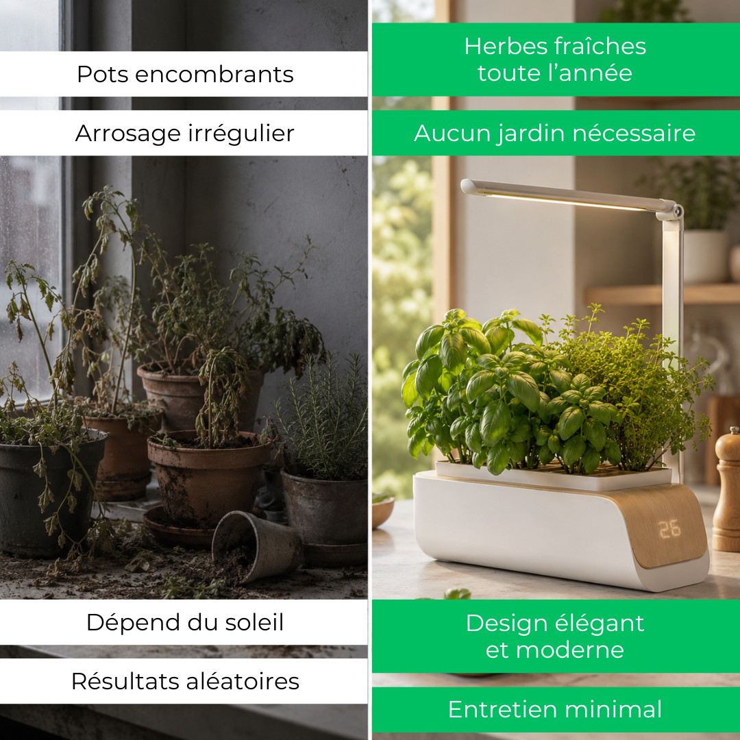 Le Potager LED d'intérieur qui redonne vie à votre cuisine.
