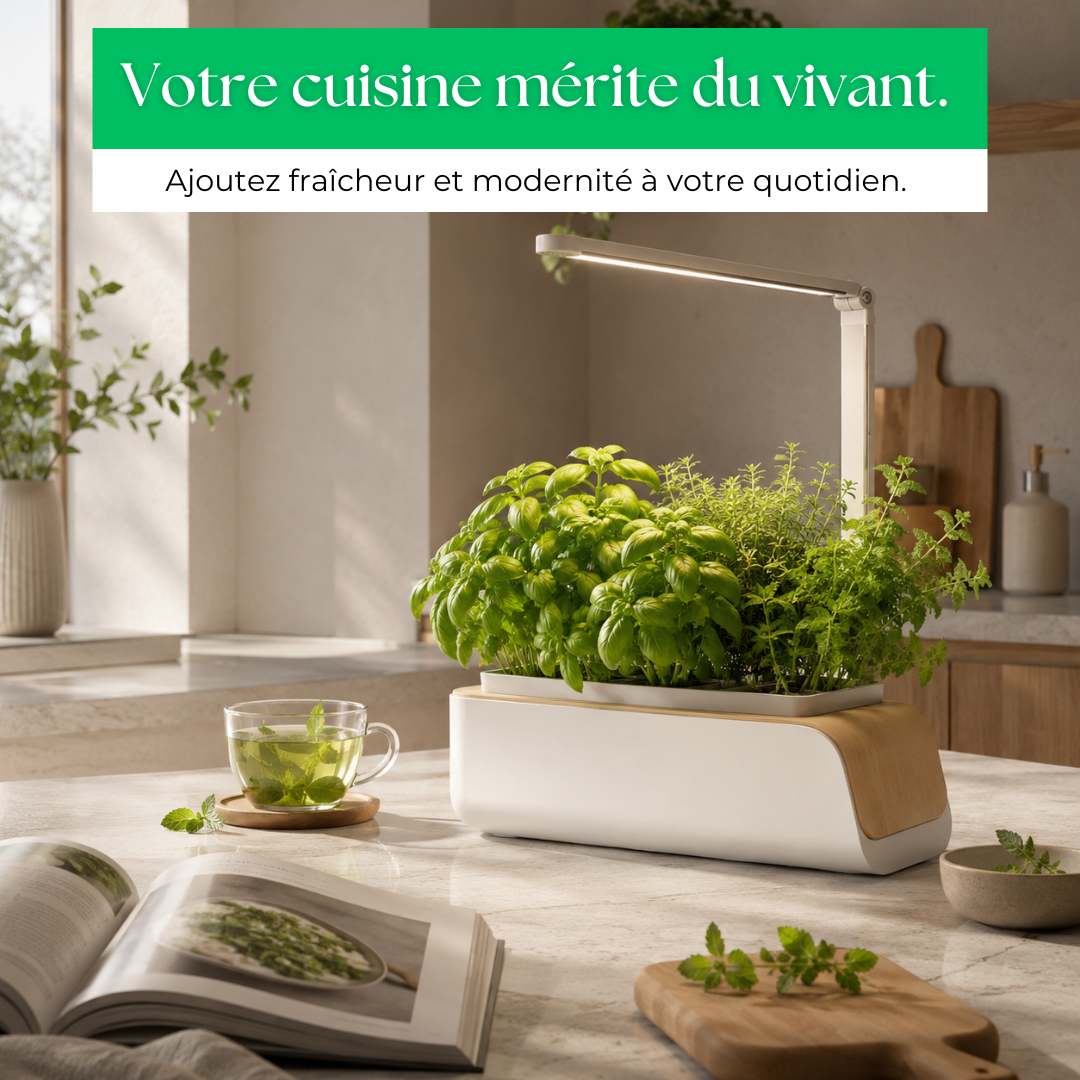 Le Potager LED d'intérieur qui redonne vie à votre cuisine.