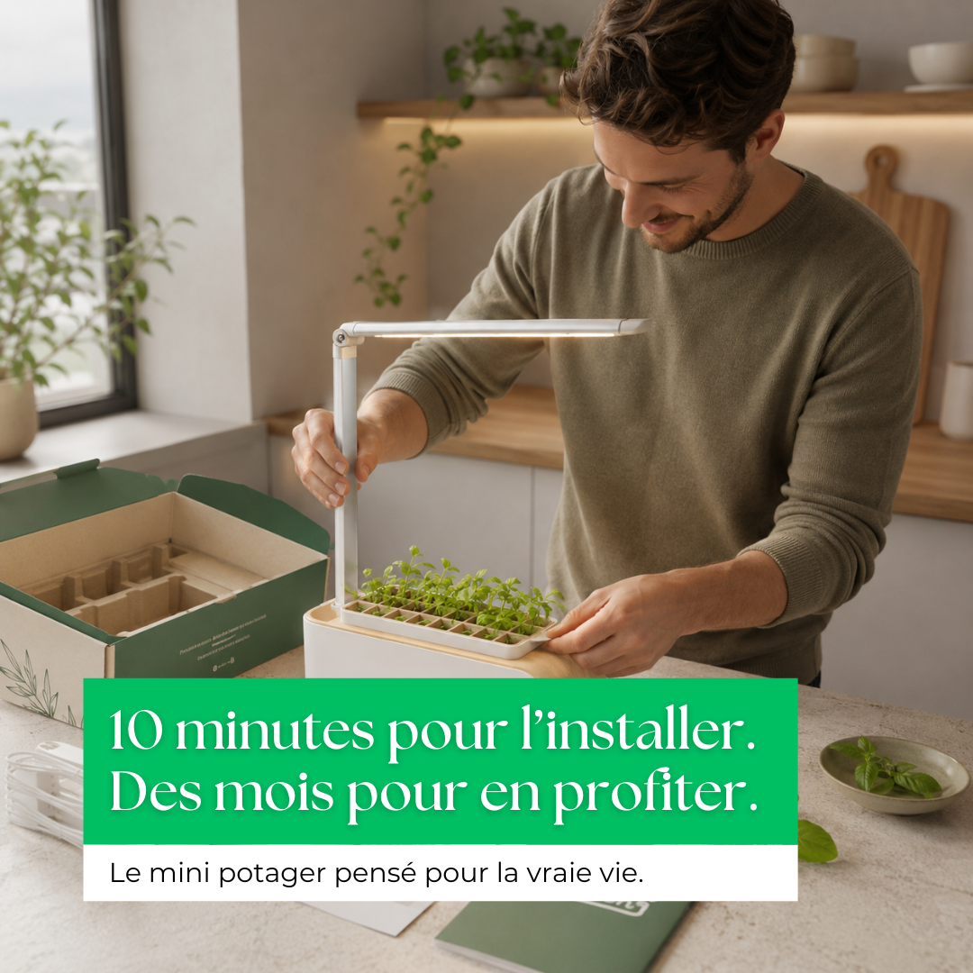 Le Potager LED d'intérieur qui redonne vie à votre cuisine.
