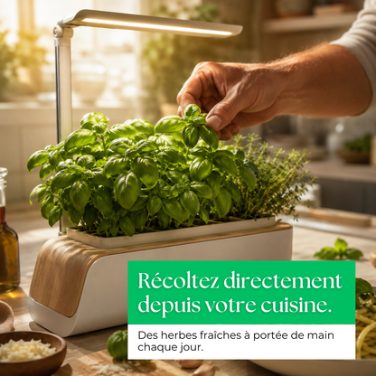 Le Potager LED d'intérieur qui redonne vie à votre cuisine.